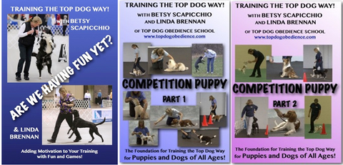 DVD 3 Pack - Competition Puppy Parts 1 & 2 and Are We Having Fun Yet